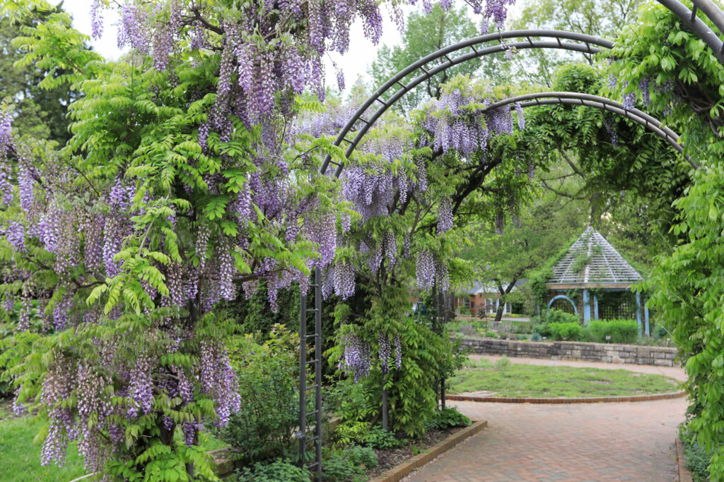 Westerville is a suburban city near Columbus