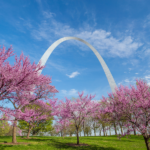 The Ultimate Guide to St. Louis Office Movers